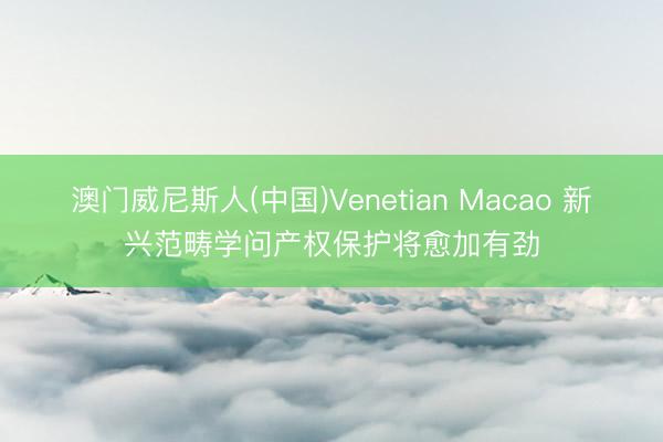 澳门威尼斯人(中国)Venetian Macao 新兴范畴学问产权保护将愈加有劲