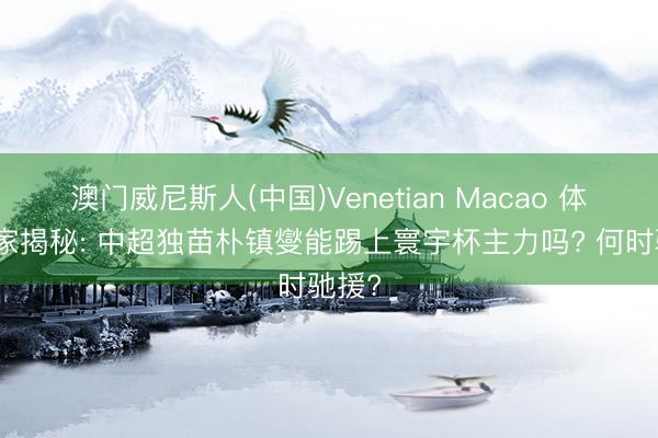 澳门威尼斯人(中国)Venetian Macao 体坛独家揭秘: 中超独苗朴镇燮能踢上寰宇杯主力吗? 何时驰援?