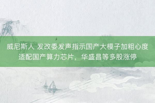 威尼斯人 发改委发声指示国产大模子加粗心度适配国产算力芯片，华盛昌等多股涨停