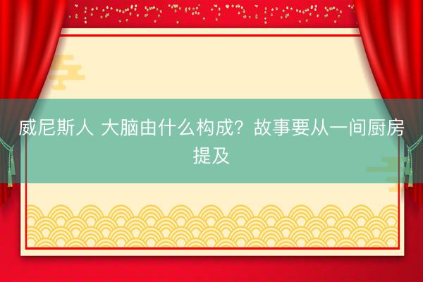 威尼斯人 大脑由什么构成？故事要从一间厨房提及