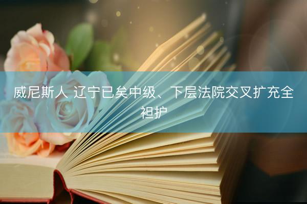 威尼斯人 辽宁已矣中级、下层法院交叉扩充全袒护