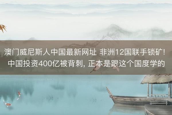 澳门威尼斯人中国最新网址 非洲12国联手锁矿! 中国投资400亿被背刺， 正本是跟这个国度学的