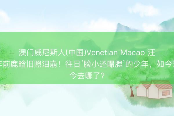 澳门威尼斯人(中国)Venetian Macao 汪聪晒8年前鹿晗旧照泪崩！往日‘脸小还嘬腮’的少年，如今去哪了？