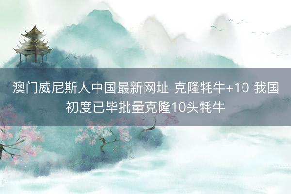 澳门威尼斯人中国最新网址 克隆牦牛+10 我国初度已毕批量克隆10头牦牛
